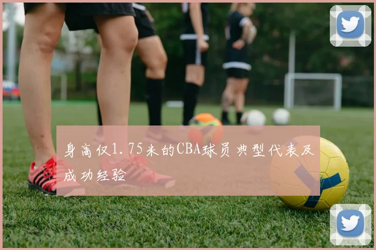 身高仅1.75米的CBA球员典型代表及成功经验