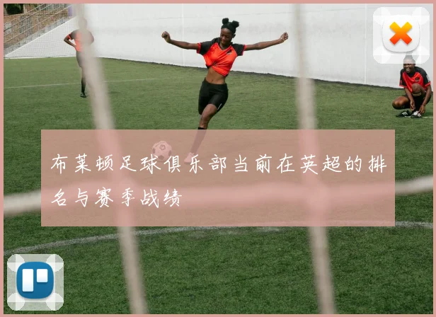 布莱顿足球俱乐部当前在英超的排名与赛季战绩