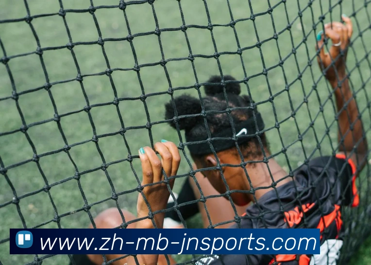 江南体育APP下载平台生态图